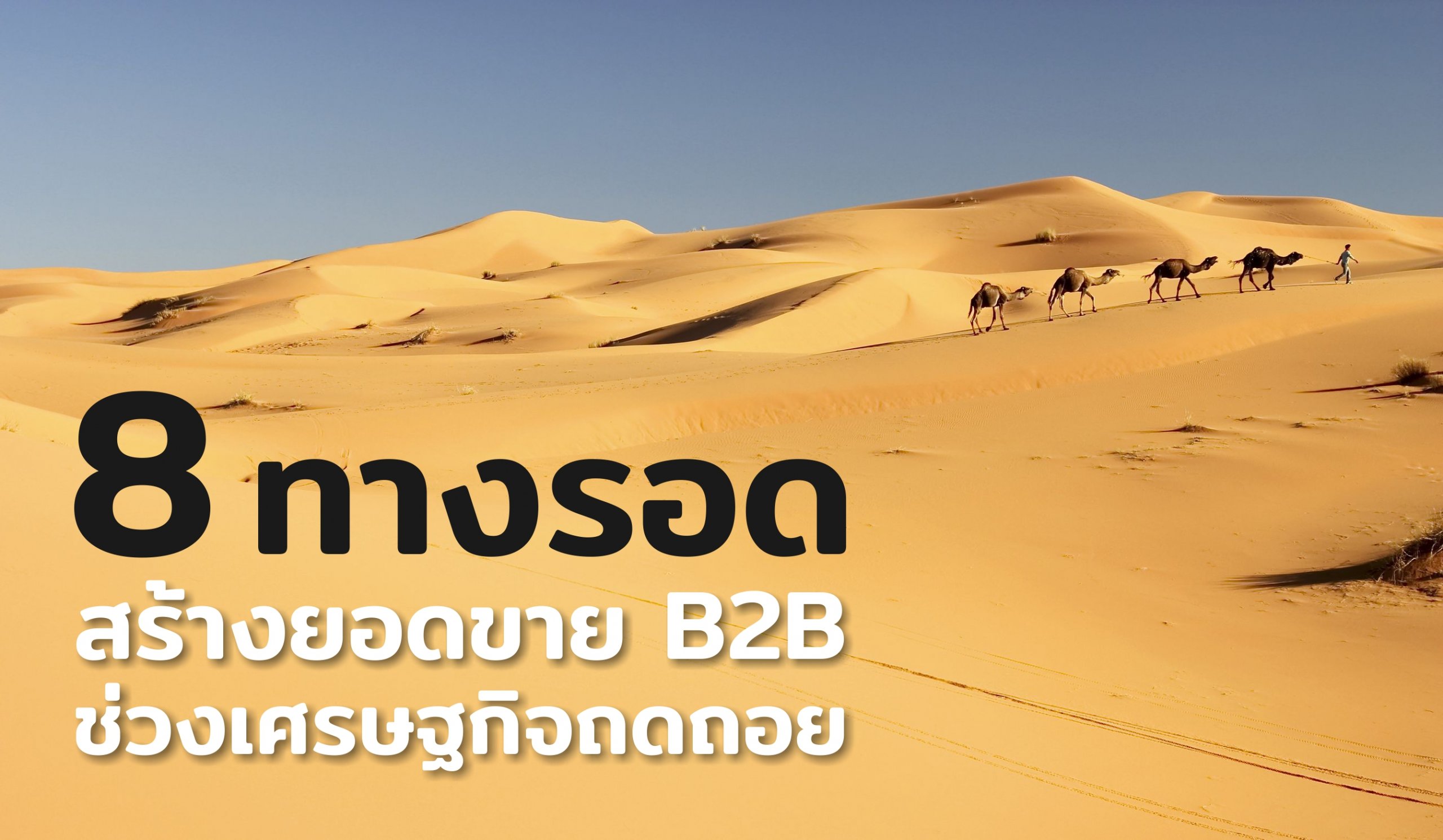 8SalesSurvivalTips-Webcover-ระบบ CRM-โปรแกรม CRM-ยอดขาย B2B