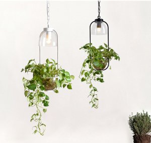 Photo-Our Customer 2020- Eve Lighting-4
