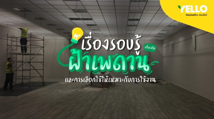 เรื่องรอบรู้ฝ้าเพดาน