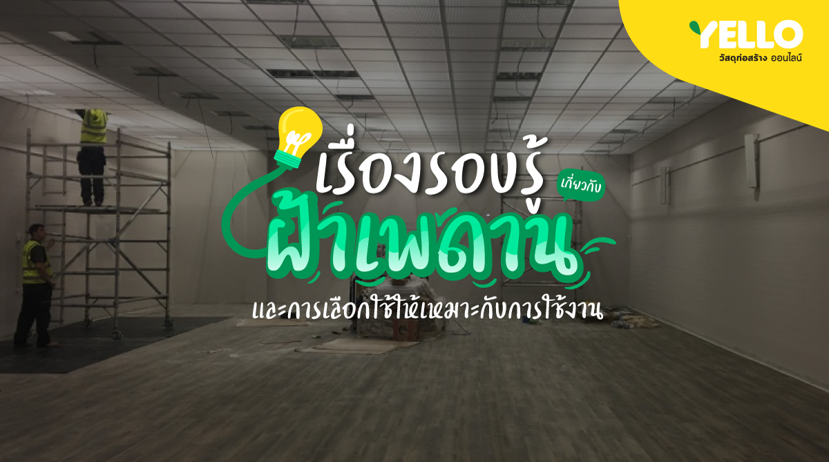 เรื่องรอบรู้ฝ้าเพดาน