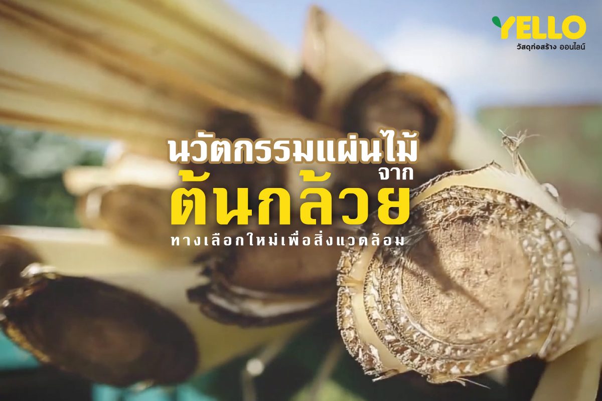 ไม้อัด-ต้นกล้วย