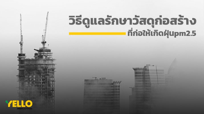 วัสดุก่อสร้าง-PM25