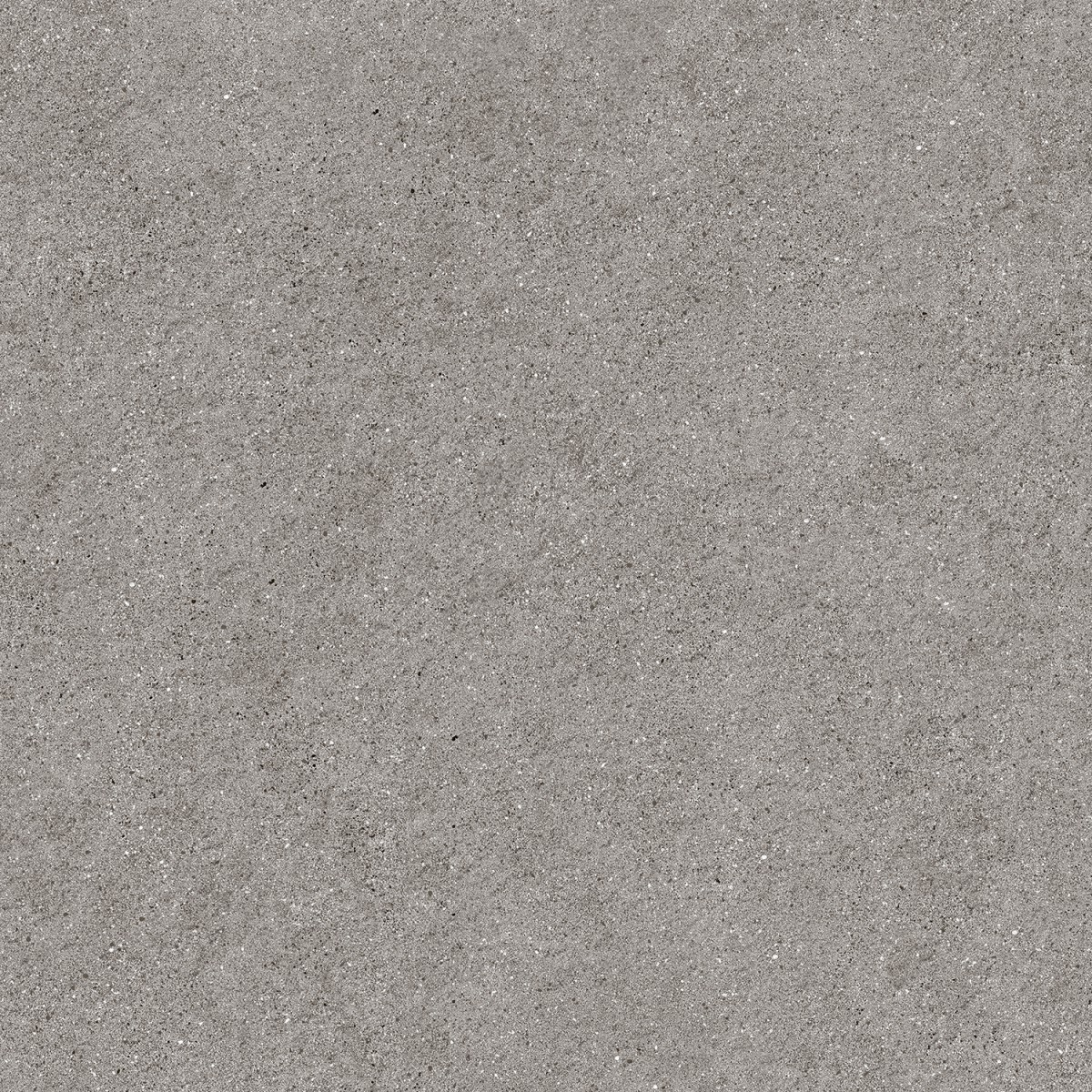 G-60x60 Ariana Grey (อารีน่า เกรย์)-Matte Mould-GP-21-33-2-f2